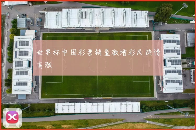 世界杯中国彩票销量激增彩民热情高涨