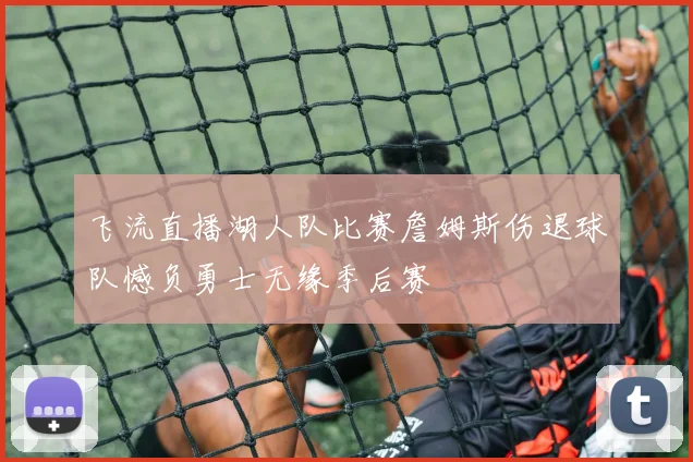 飞流直播湖人队比赛詹姆斯伤退球队憾负勇士无缘季后赛