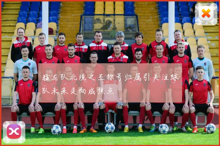 猛龙队北境之王称号归属引关注球队未来走向成焦点