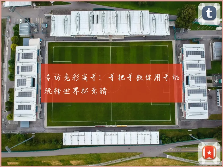 专访竞彩高手:手把手教你用手机玩转世界杯竞猜