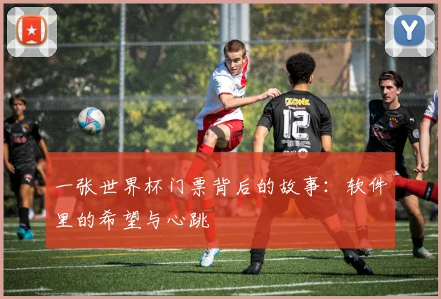 一张世界杯门票背后的故事：软件里的希望与心跳