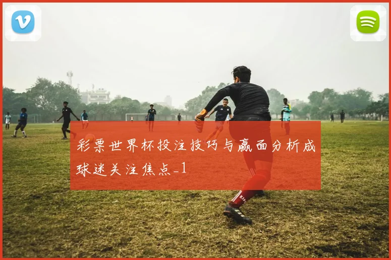 彩票世界杯投注技巧与赢面分析成球迷关注焦点_1