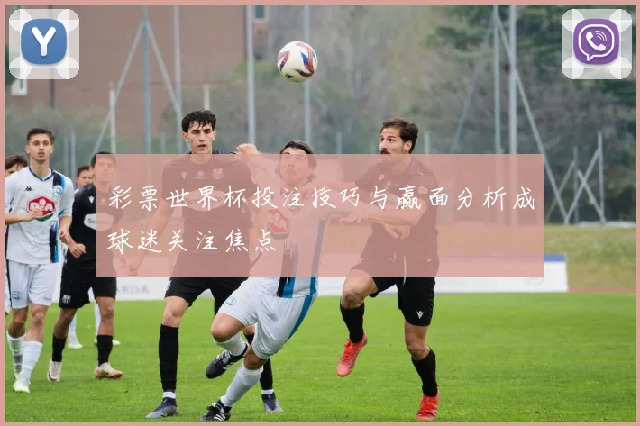 彩票世界杯投注技巧与赢面分析成球迷关注焦点