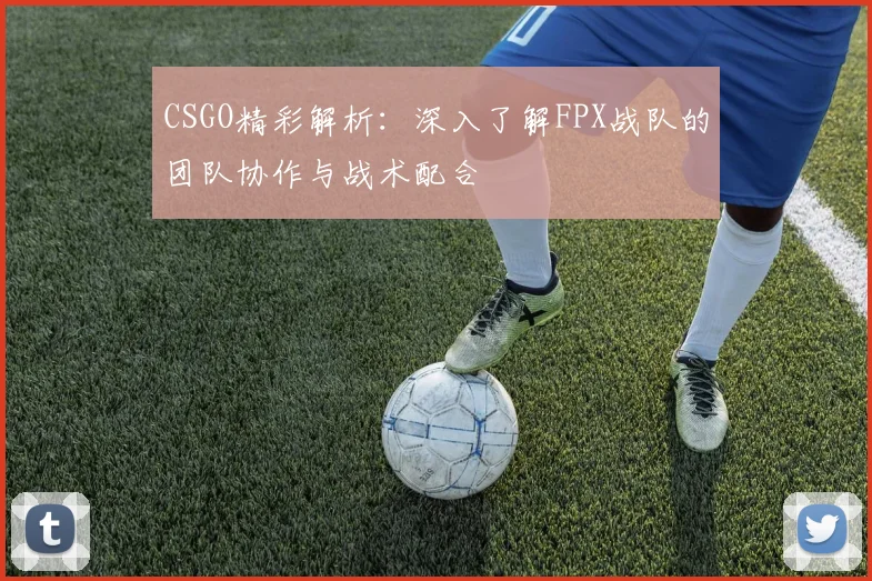 CSGO精彩解析:深入了解FPX战队的团队协作与战术配合