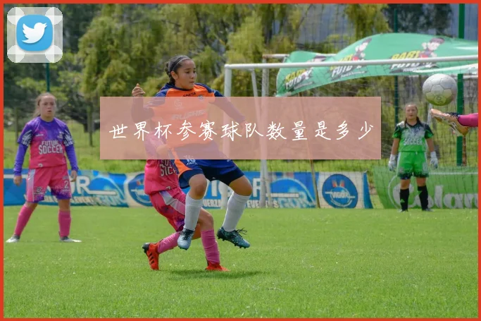 世界杯参赛球队数量是多少
