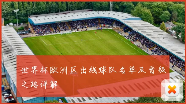 世界杯欧洲区出线球队名单及晋级之路详解