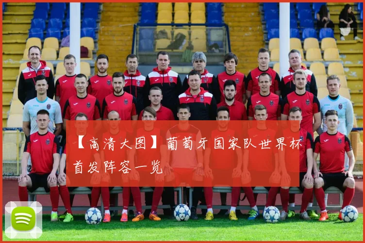 【高清大图】葡萄牙国家队世界杯首发阵容一览