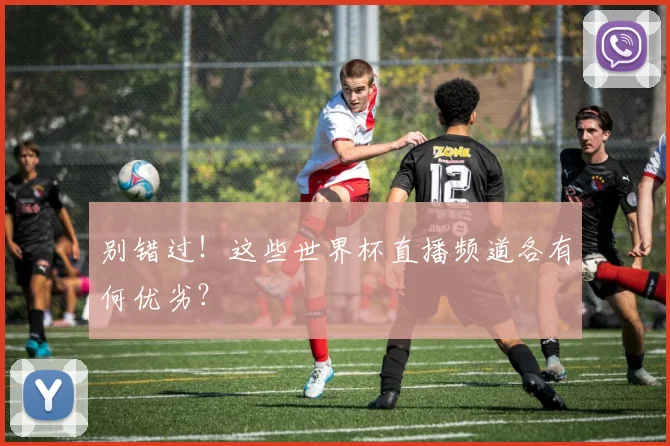 别错过!这些世界杯直播频道各有何优劣?