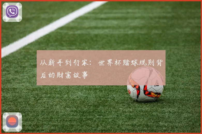 从新手到行家:世界杯赌球规则背后的财富故事