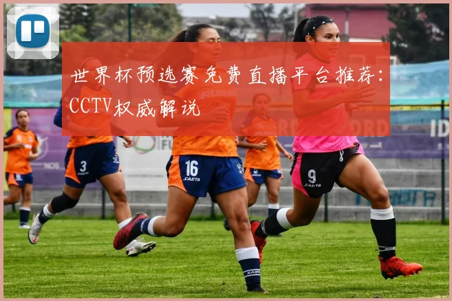 世界杯预选赛免费直播平台推荐:CCTV权威解说