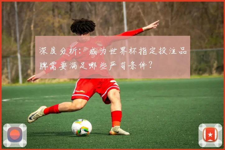 深度分析:成为世界杯指定投注品牌需要满足哪些严苛条件?