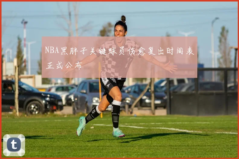 NBA黑胖子关键球员伤愈复出时间表正式公布
