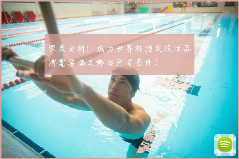 深度分析:成为世界杯指定投注品牌需要满足哪些严苛条件?